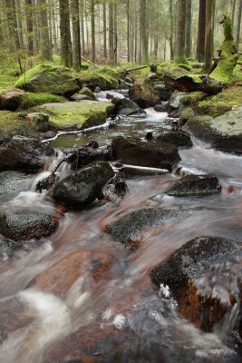 Klippans Nature Reserve