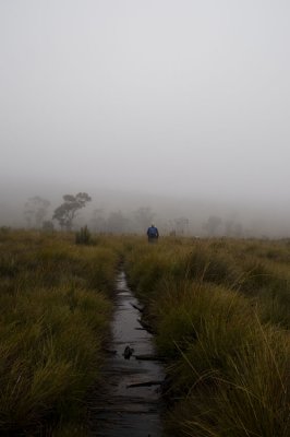 Into the mist