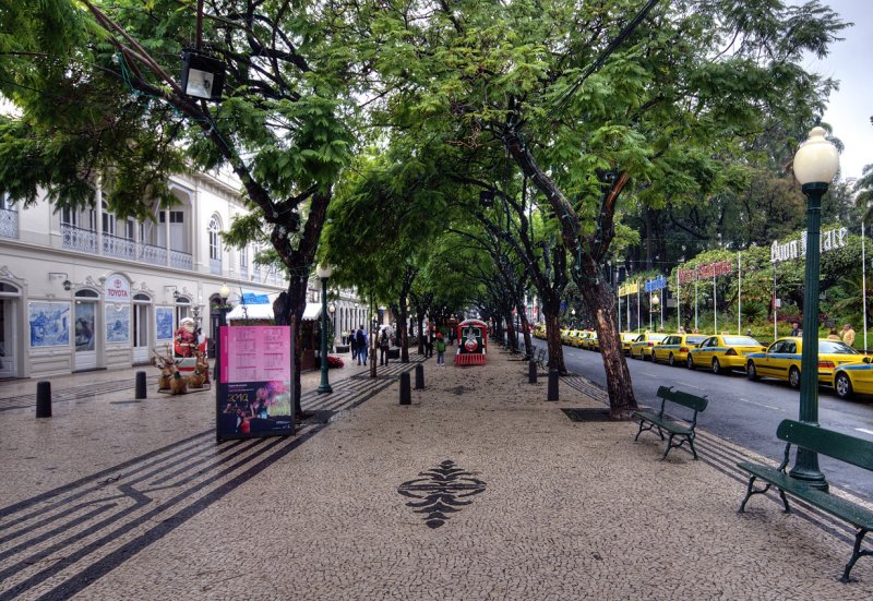 Santa Train Avenida Arriaga, Funchal