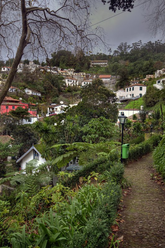 Walking down into Monte