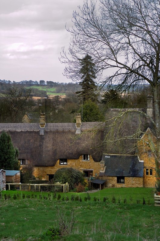 Looking across the Estate