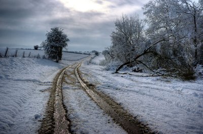 Cow Lane, Steeple Aston