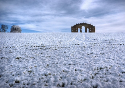 Eyecatcher in the snow