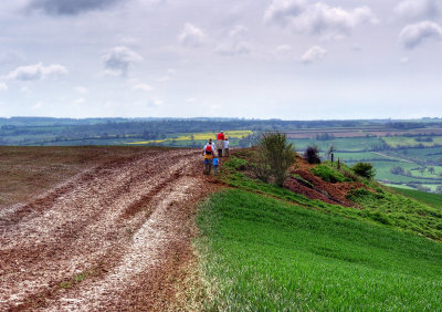 Mud and more mud - the path around the top of Brailes Hill