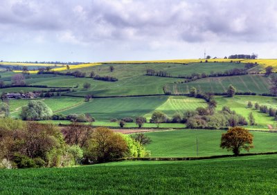 Looking across to Mines Hill