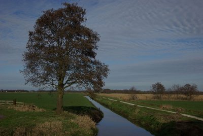 omgeving Scharsterbrug