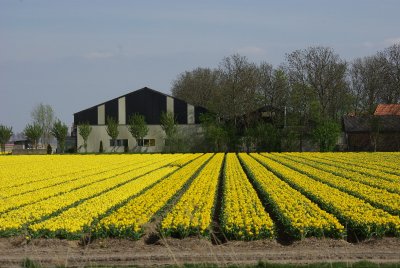 Noordermeerweg.jpg