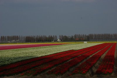 Zuidermiddenweg.jpg