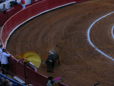 Bullfight, Plaza Mexico