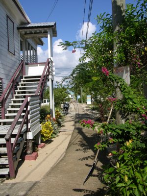 The main street in Placencia.