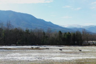 DSC01084.JPG