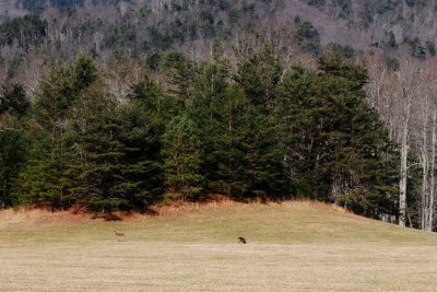 DSC_1433.JPG