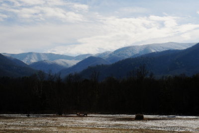 DSC_1436.JPG