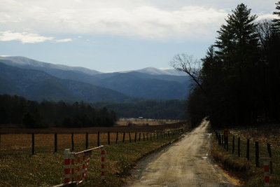 DSC_1467.JPG
