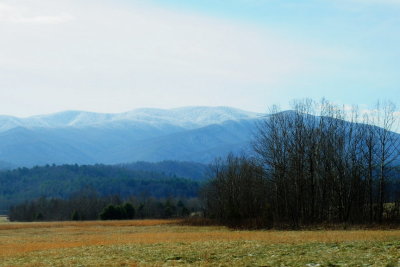 DSC_1534.JPG
