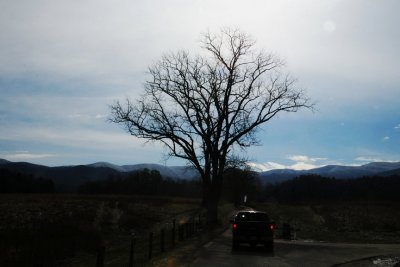 DSC_1644.JPG