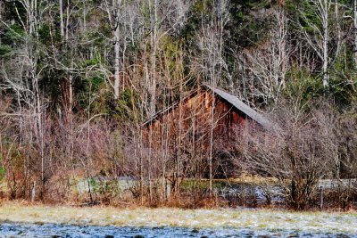 DSC_1657.JPG