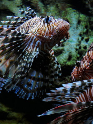 DSC_9846.JPG