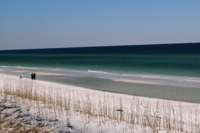DSC_0131.JPG