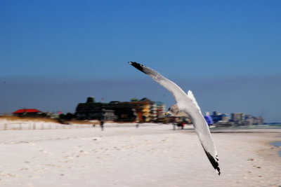 DSC_0150.JPG