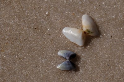 DSC_9959.JPG