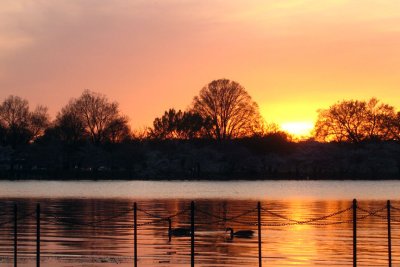 IMG_5260.jpg