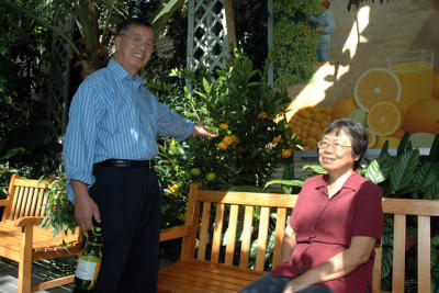 United States Botanical Garden