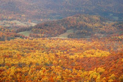 DSC_6142.jpg
