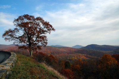 DSC_6166.jpg