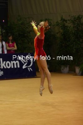 IMG_2366.jpg