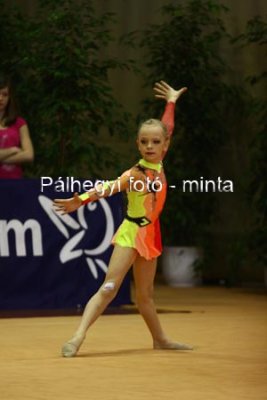 IMG_2387.jpg
