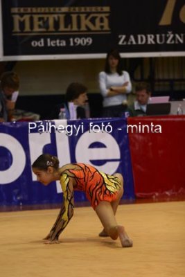 IMG_2123.jpg
