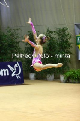 IMG_6529.jpg