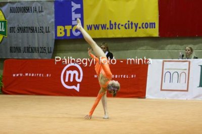 IMG_8517.jpg
