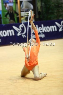 IMG_8565.jpg