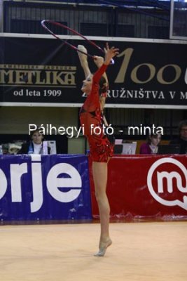 IMG_0381.jpg