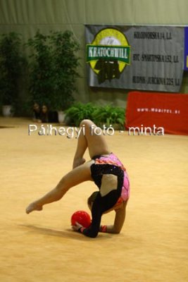 IMG_6166.jpg