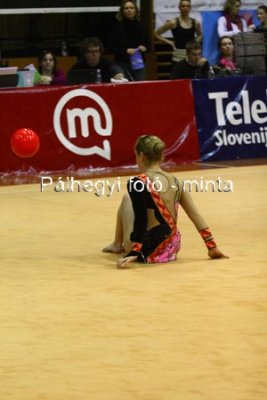 IMG_6171.jpg