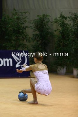 IMG_6011.jpg