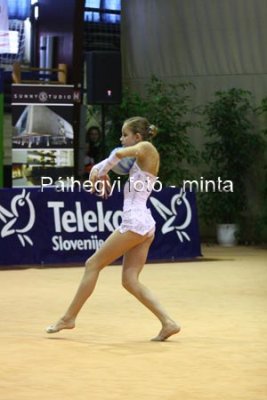 IMG_6013.jpg