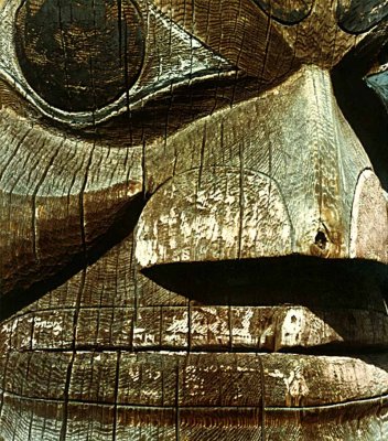 Haida Bear