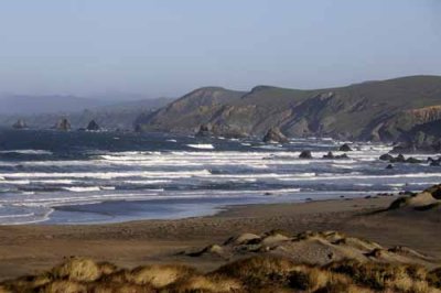 Pt. Reyes - Bodega Bay  103