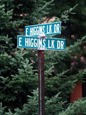 East Higgins Lake Drives