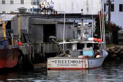 All Things Boats...Dockside