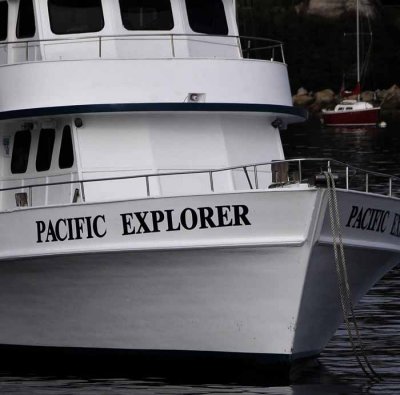 All Things Boats...Dockside