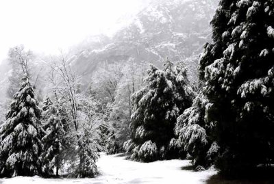 February in Yosemite