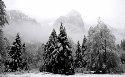 February in Yosemite