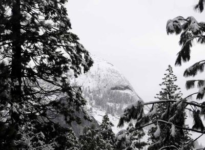 February in Yosemite