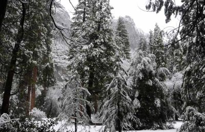 February in Yosemite