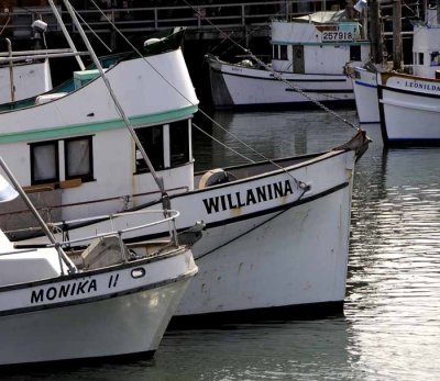 All Things Boats...Dockside